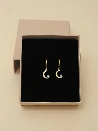 🌙Lunar Glow Drops Earrings
