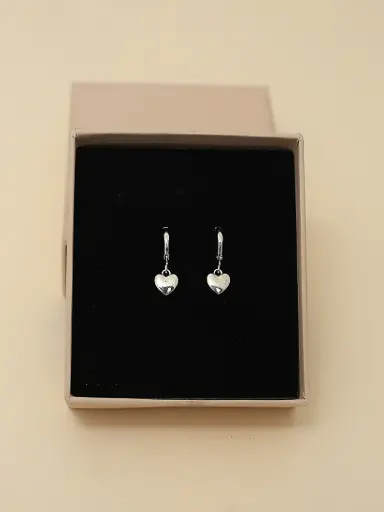 🤍Silver Sweethearts Earring